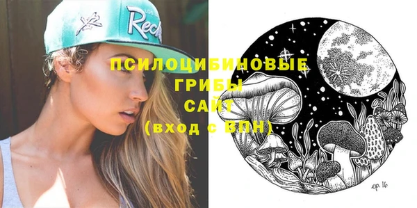 молекула духа Алзамай