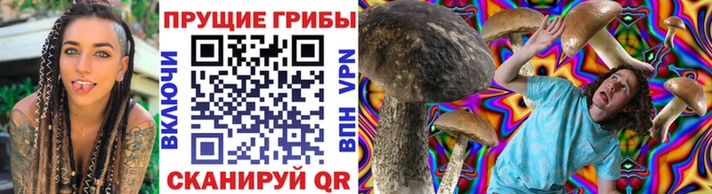Галлюциногенные грибы Psilocybine cubensis  Любим 